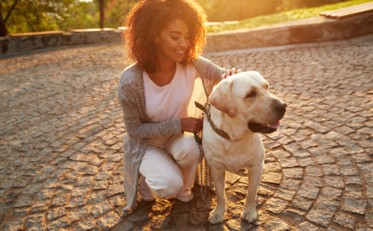  Illinois Dog Bite Laws:                                                             What Every Homeowner Needs to Know