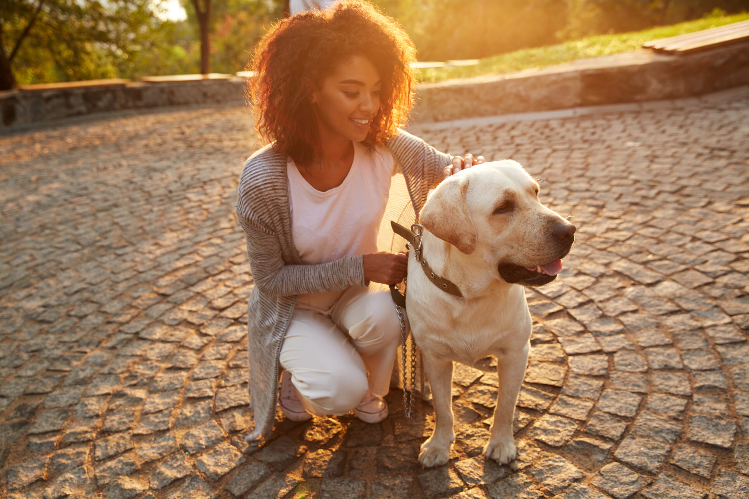 Young smiling lady in casual clothes sitting and hugging dog in park